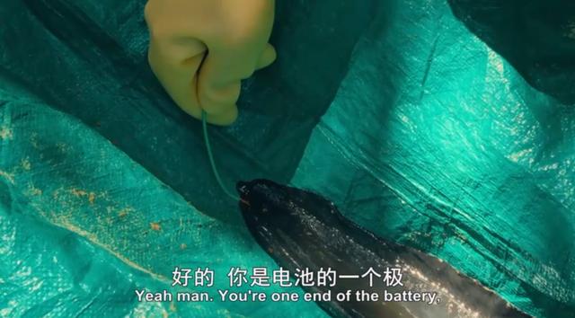 金属破碎机每日开机前必做检查比例失重调整