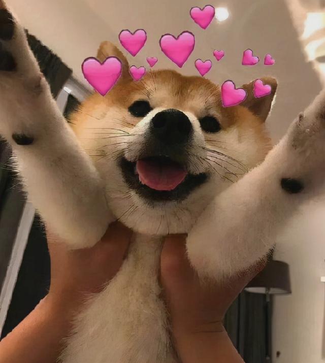 车上路上滴滴（车上,路上滴滴完）