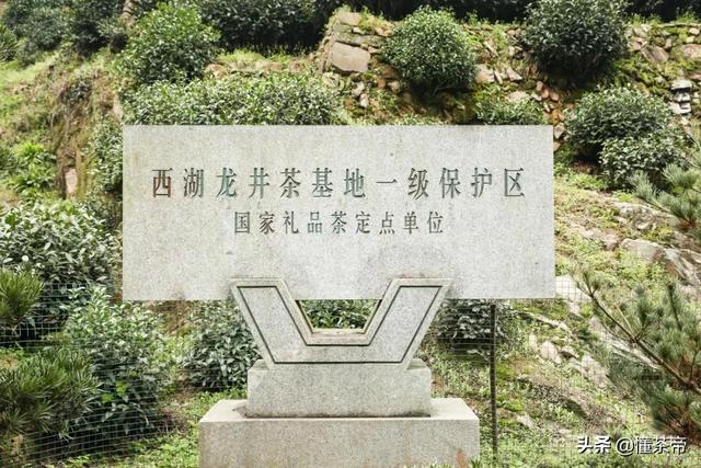 龙井产地