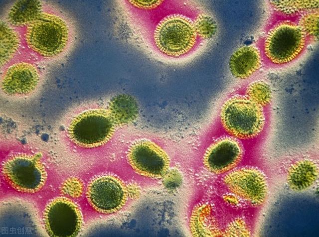 女娃两次病危！这种与感冒十分相似的病毒，正进入高发期