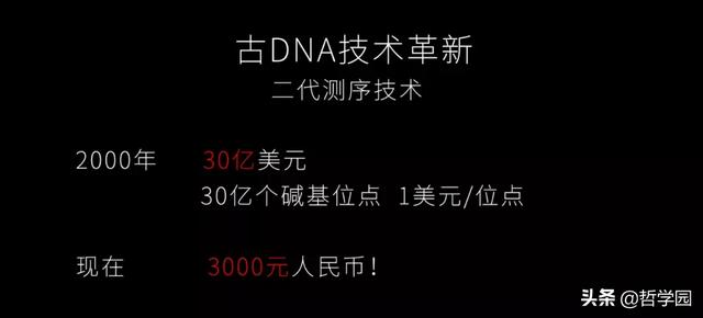 拉萨卧式过滤机