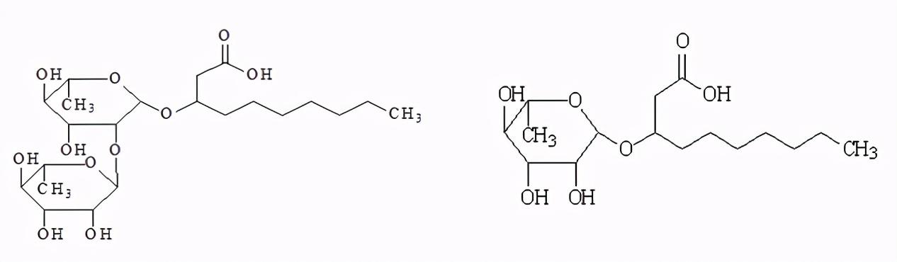 生物糖脂—改良和修复土壤的利器3