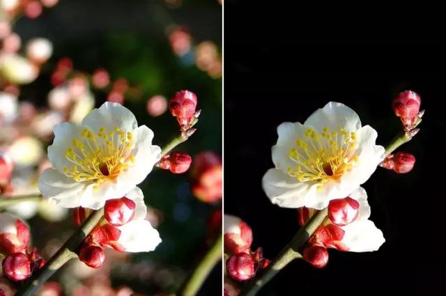 [微信七里香代理]，微信视频发黑了怎么调呢