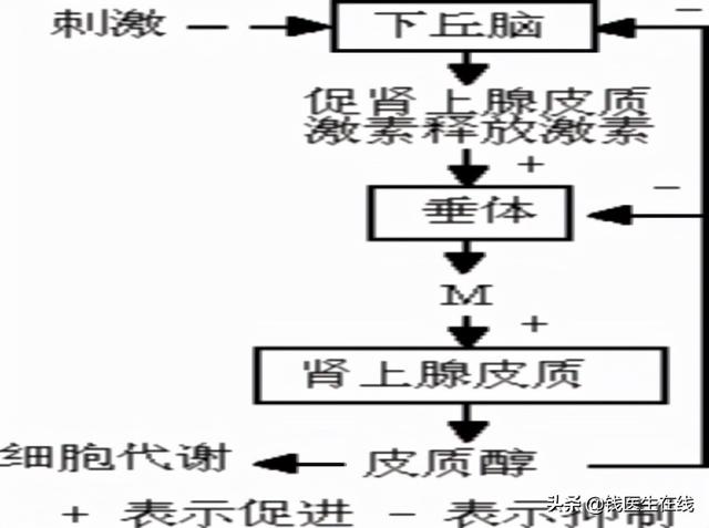 影响女性睡眠的5种激素，更年期女性要特别注意