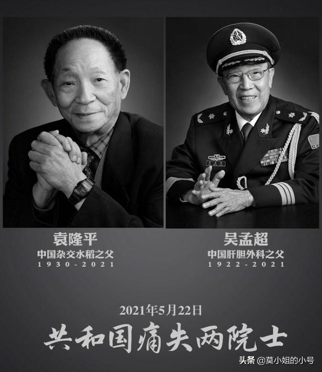 虞书欣后援会微博(虞书欣粉丝后援会)