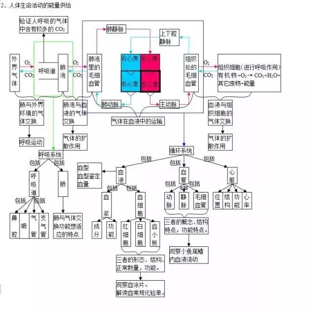 初中各科思维导图全汇总（语文、数学、地理、历史、化学、生物）