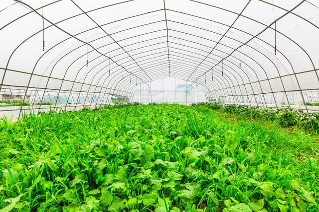 “百病皆起于寒”，身体五处受寒的表现，以及对应的解决方法分享