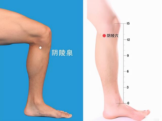九種體質你到底屬于哪一種，又該怎樣調理？中醫陳瑩告訴您
