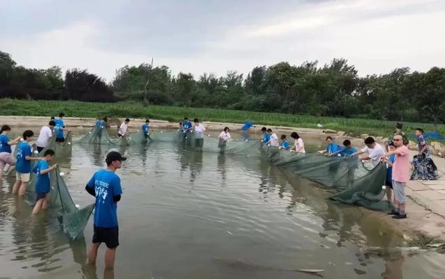 双减政策下，如何解决孩子的学习，你准备好了吗？