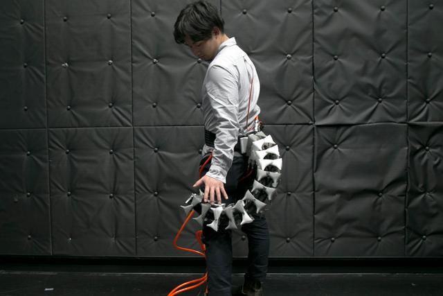 人类的尾巴为什么会消失？日本研发的仿生尾更安全便利吗？