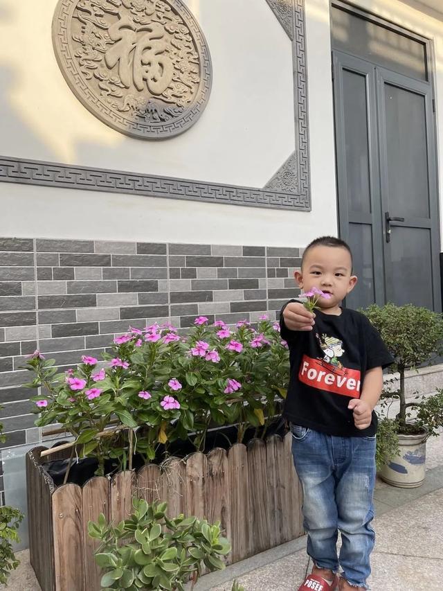 寻花之旅——友联幼儿园小班幼儿《花儿朵朵开》班本课题