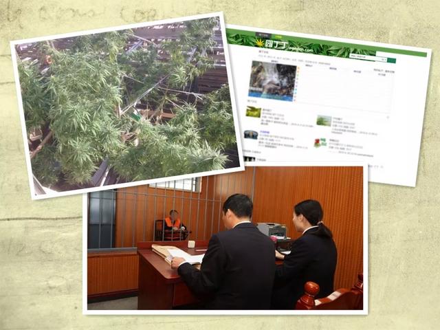目前币圈最火的论坛(币圈十大交易所) 第2张