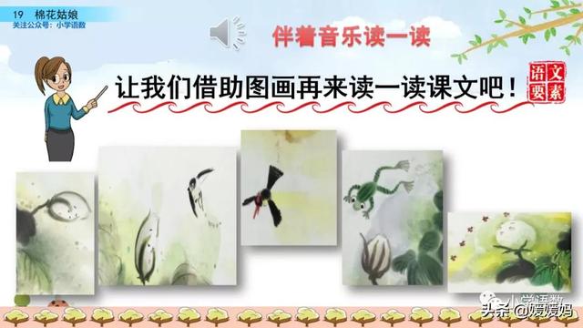 七星瓢虫吃什么