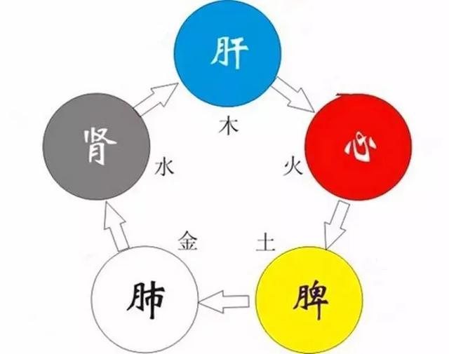 五脏最喜欢的养生动作，你知道吗？