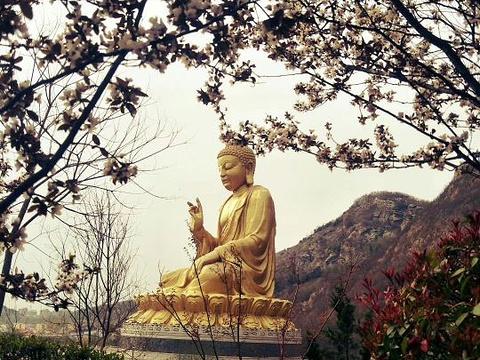 连云港旅游景点有哪些景点推荐(连云港旅游攻略必玩的景点)