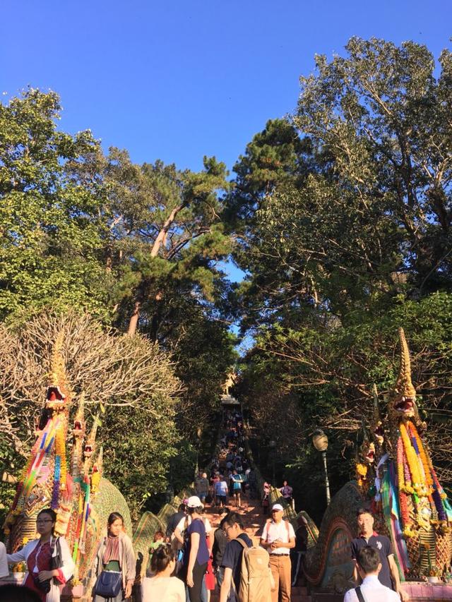 如果你沒去過素貼山，你就沒來過清邁，旅行日記