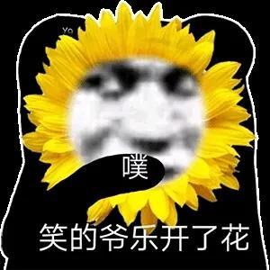 周鸿祎称比马化腾还会写代码，大佬里编程能力排前三，你怎么看？