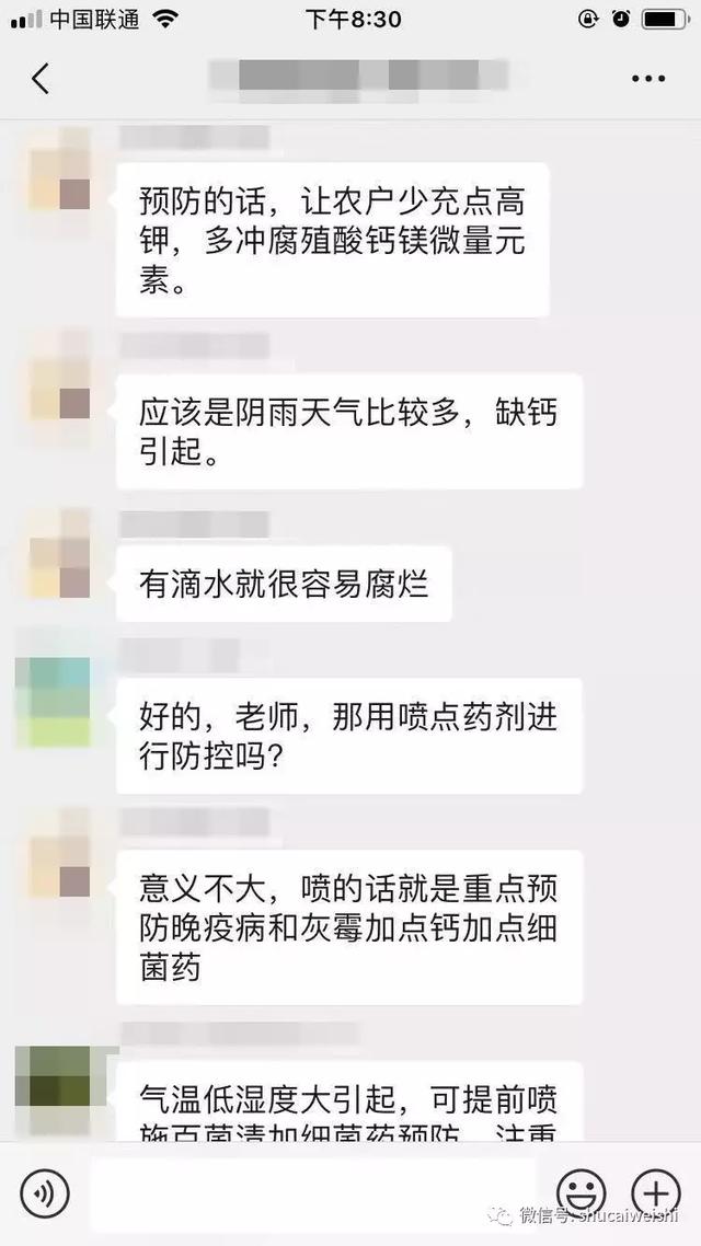 蔬菜卫士 专家在线：番茄大量腐烂，罪魁祸首究竟是谁？6