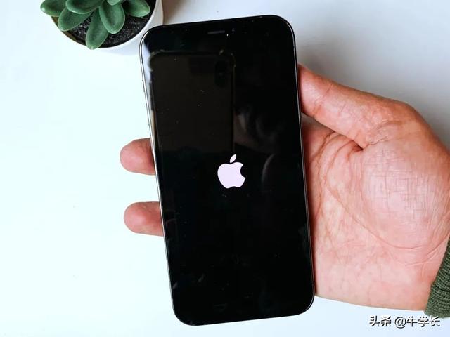 苹果11 内存不足白苹果，不用求助他人，自己就可轻松解决-第3张图片-9158手机教程网