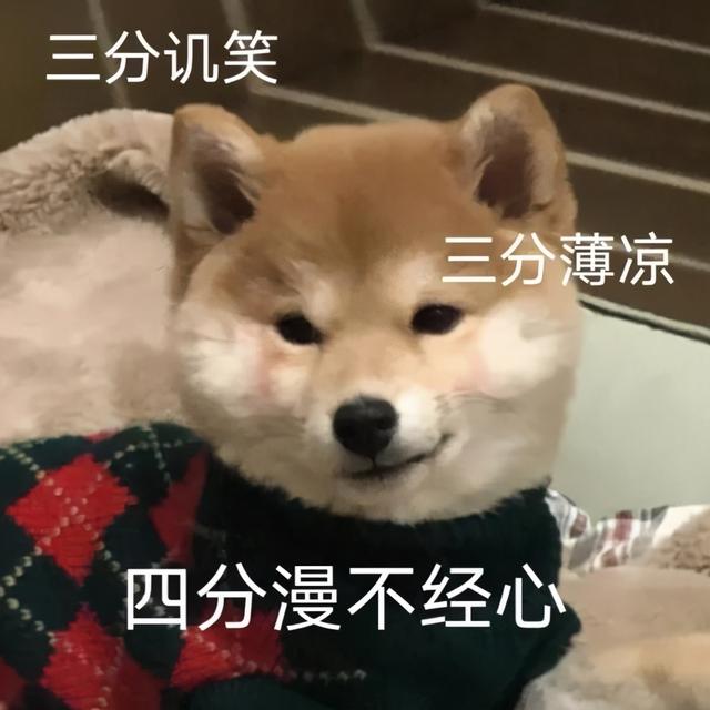 动物搞笑表情包 动物指着你的表情包