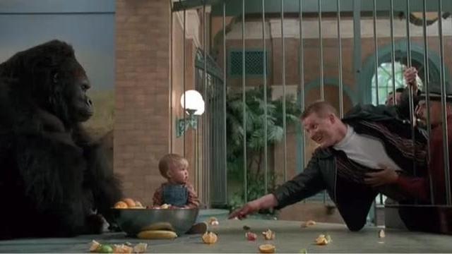 聪明的孩子都有迹可循，在1岁之前有5个共同点，父母注意培养