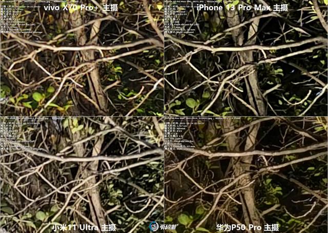 年度之战，iPhone 13 PM、X70 Pro+、华为P50P、小米11U拍照横评