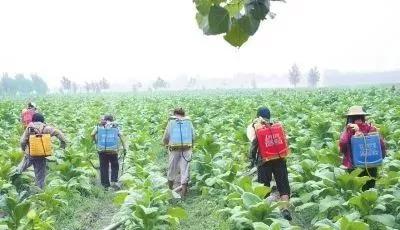 掌握这些打药技巧，相当于省了一半的药1