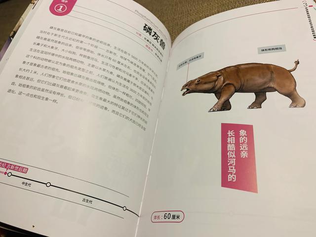 从长着蝴蝶结角的古生物到丰富的现生生物，我沉迷这本书不可自拔