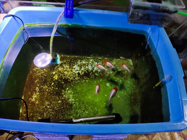 吸氧气的过滤机
