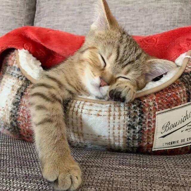 白露快到了，这个时节怎么养生？来看医生怎么说「浦东医生话养生」