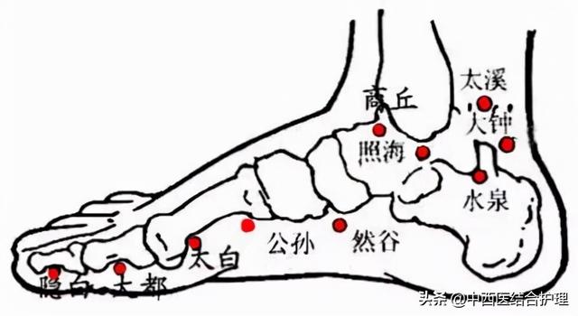 「穴位经络养生」穴位就是中药，经络就是药房！经常按摩穴位，太有用了！收藏吧