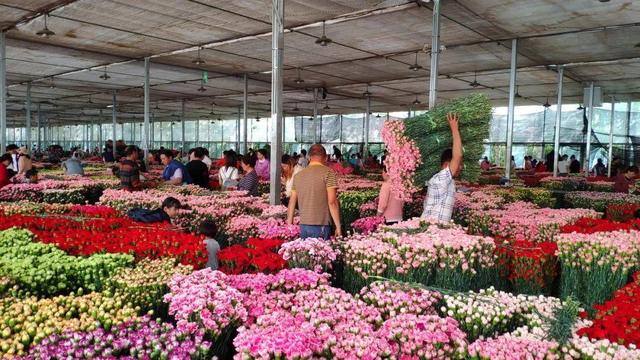 花卉市场