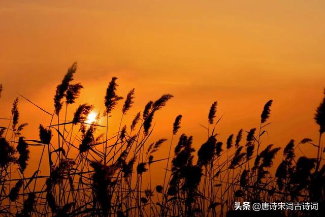 描写夕阳的句子，夕阳无限好,犹能灿长天的意思？