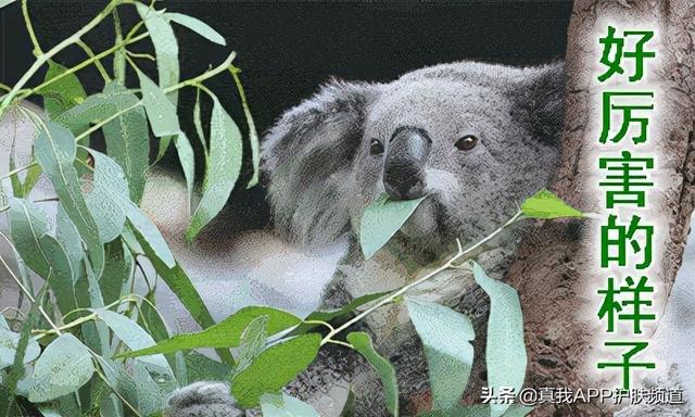 角化过度和角化不良