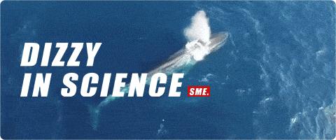 生化最强武器_生化最强武器排名