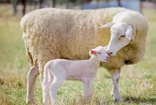 啥时候买基金，才不容易亏钱？