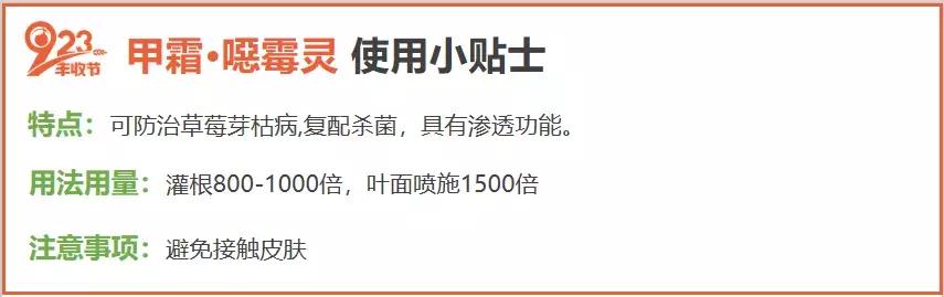 最近草莓枯芽、烂心大爆发，搞清楚原因，才好对症下药10