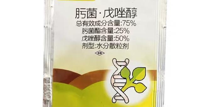 喷雾戊唑醇时，做好这几点，不仅能降低药害风险，还能提高药效！