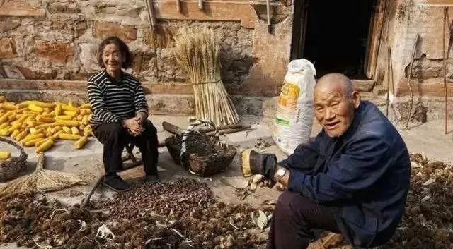 从最近“城管拎摔老人”事件，说说给农民建立退休制度这件事