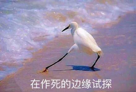 作死是什么意思