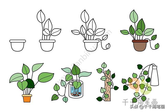 植物简笔画