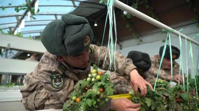 长沙废旧塑料破碎机