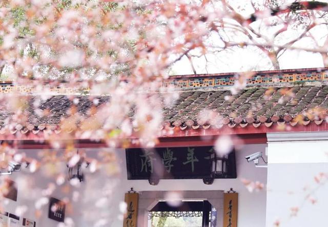 2019长沙药用机械展