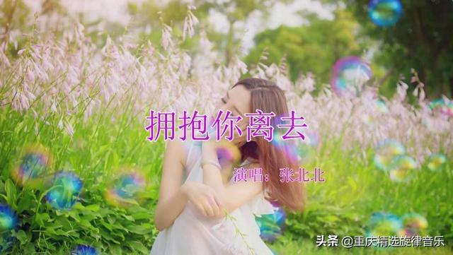 拥抱你离去歌词是什么意思 拥抱你离去歌词是什么意思