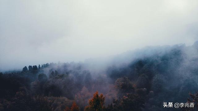 有没有特别神仙的句子？送你很浪漫值得收藏的十八句