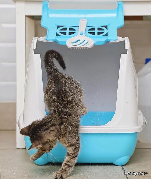 洗衣机洗猫砂