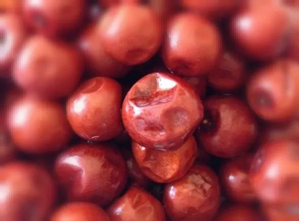 中药古今研究：酸枣仁