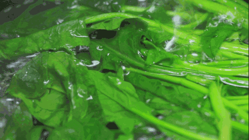 常吃的4种蔬菜，草酸竟比菠菜还高！你可能还不知道