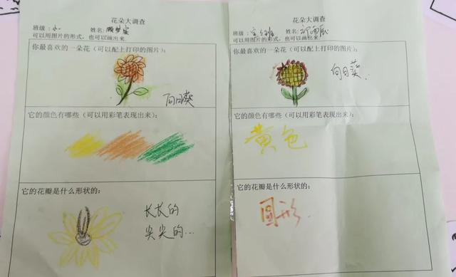 寻花之旅——友联幼儿园小班幼儿《花儿朵朵开》班本课题