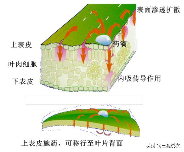 农药推荐：啶酰菌胺新品使用手册4